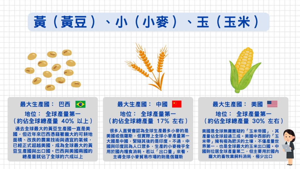 黃豆(大豆):巴西 🇧🇷
最大生產國: 巴西
簡析: 過去全球最大的黃豆生產國一直是美國,但近年來巴西憑藉著龐大的可耕地面積、改良的農業技術與適宜的氣候,已經正式超越美國,成為全球最大的黃豆生產國與出口國。巴西與美國兩國的總產量就佔了全球的六成以上。
2. 玉米:美國 🇺🇸
最大生產國: 美國
簡析: 美國是全球無庸置疑的「玉米帝國」,其產量佔全球超過三成。美國中西部的「玉米帶」(Corn Belt)擁有極為肥沃的土壤,不僅產量世界第一,也是全球最大的玉米出口國。中國則位居全球產量第二,但主要用於國內龐大的畜牧業飼料消耗,極少出口。
3. 小麥:中國 🇨🇳
最大生產國: 中國
簡析: 很多人直覺會認為全球生產最多小麥的是美國或俄羅斯,但實際上全球小麥產量第一大國是中國,緊隨其後的是印度。不過,中國與印度因為人口眾多,生產的小麥幾乎全用於國內糧食消耗。若以「出口量」來看,主導全球小麥貿易市場的則是俄羅斯